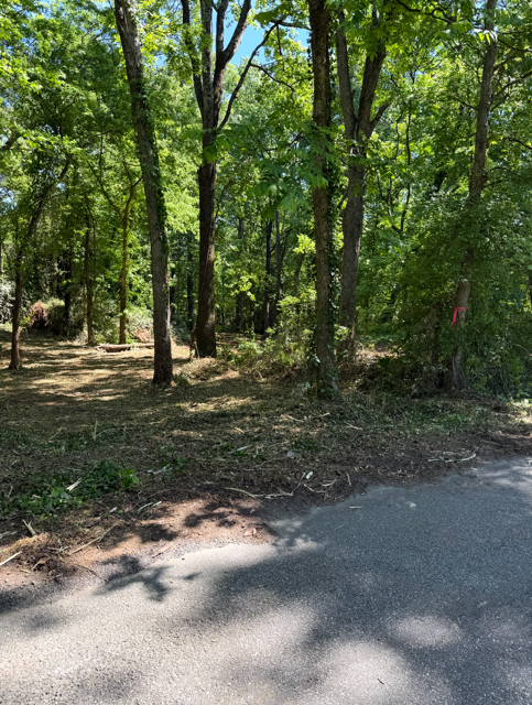 Cleared roadside area after forestry mulching